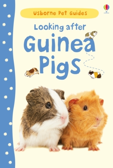 Looking after Guinea Pigs - Laura Howell