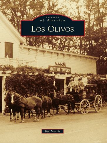 Los Olivos - Jim Norris