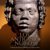 Los antiguos nubios: La historia de una de las civilizaciones más antiguas de África