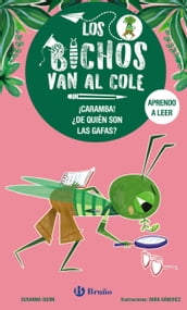 Los bichos van al cole, 3. ¡Caramba! De quién son las gafas?