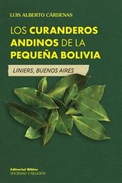 Los curanderos andinos de la pequeña Bolivia