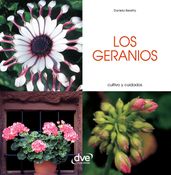 Los geranios - Cultivo y cuidados