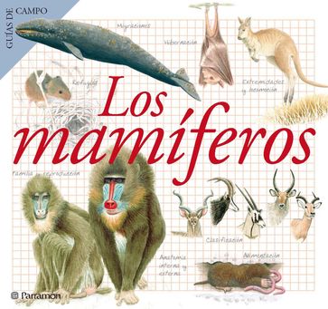 Los mamíferos - Maria Àngels Julivert