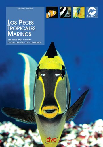 Los peces tropicales marinos - Gelsomina Parisse