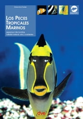 Los peces tropicales marinos