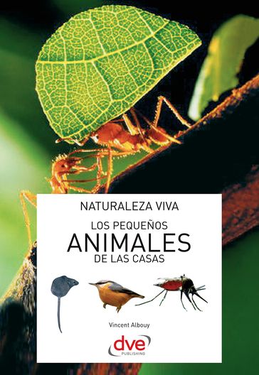 Los pequeños animales de las casas - Vincent Albouy