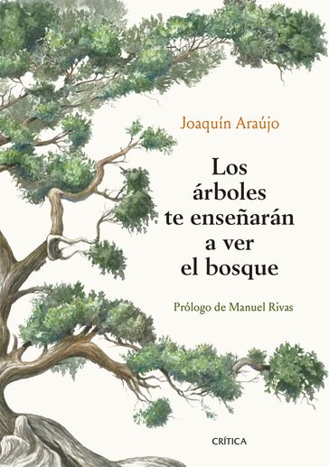 Los árboles te enseñarán a ver el bosque - Joaquín Araújo