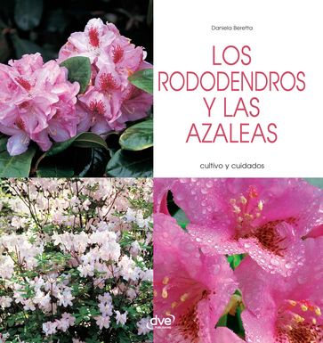 Los rododendros y las azaleas - Cultivo y cuidados - Daniela Beretta
