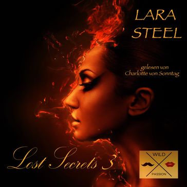 Lost Secrets, 3 (ungekürzt) - Lara Steel