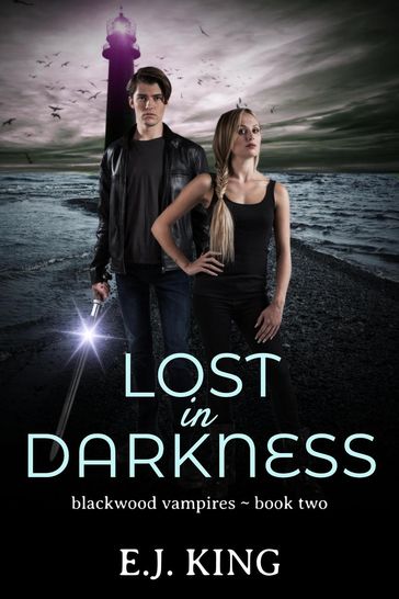 Lost in Darkness - E.J. King
