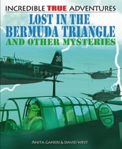 Lost in the Bermuda Triangle and Other Mysteries