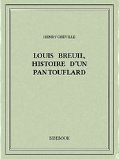 Louis Breuil, histoire d un pantouflard