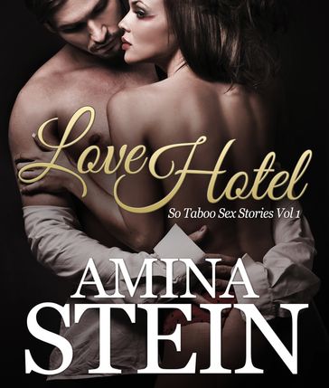 Love Hotel - Amina Stein