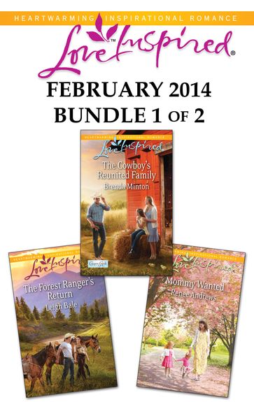 Love Inspired February 2014 - Bundle 1 of 2 - Brenda Minton - Leigh Bale - Renee Andrews