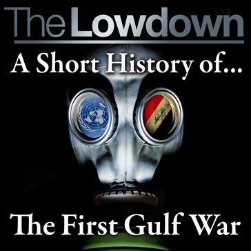Lowdown, The: A Short History of the First Gulf War - Robert Johnson