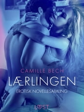 Lærlingen erotisk novellesamling