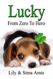 Lucky - From Zero to Hero