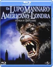 Lupo Mannaro Americano A Londra (Un)