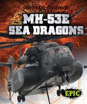 MH-53E Sea Dragons