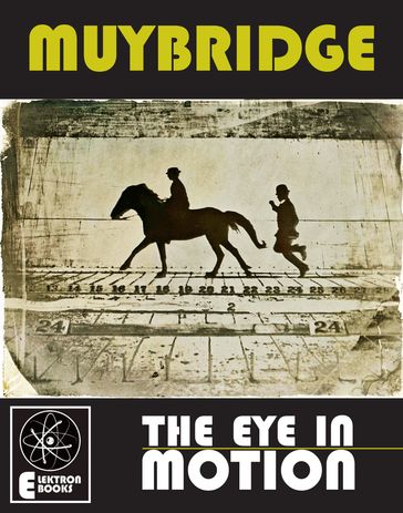 MUYBRIDGE: THE EYE IN MOTION - Stephen Barber