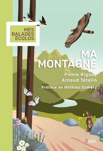 Ma montagne - Pierre Rigaux - Arnaud Tételin - Mathieu Duméry