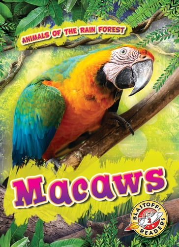 Macaws - Karen Latchana Kenney