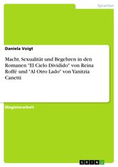 Macht, Sexualität und Begehren in den Romanen  El Cielo Dividido  von Reina Roffé und  Al Otro Lado  von Yanitzia Canetti