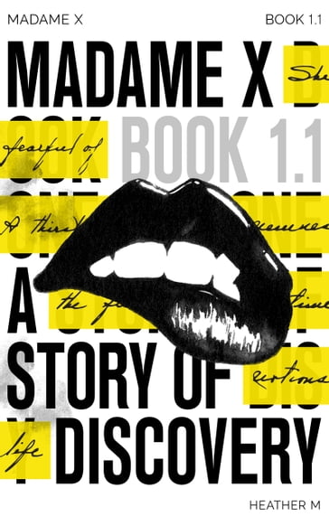 Madame X Book 1.1 - Heather M