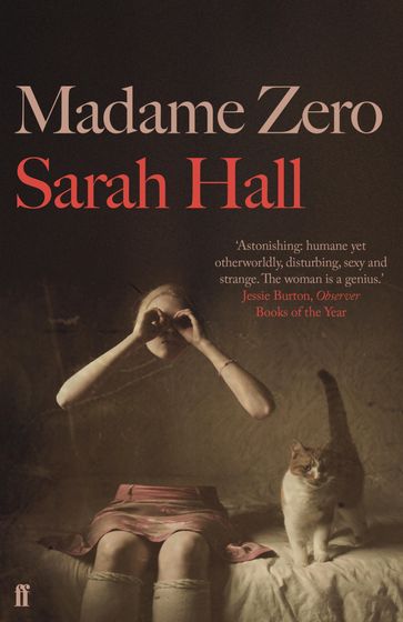 Madame Zero - Sarah Hall