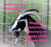 Maggie s Remarkable Recovery at Happy Little Hooves Farm