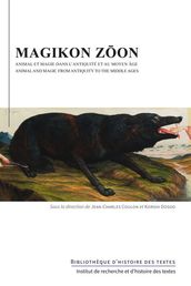 Magikon zon