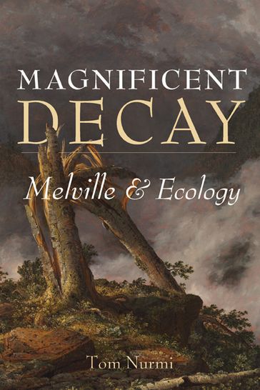 Magnificent Decay - Tom Nurmi