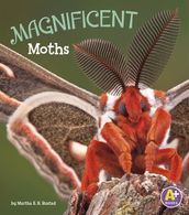 Magnificent Moths