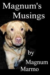 Magnum s Musings