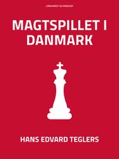 Magtspillet i Danmark