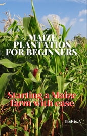 Maize plantation for beginner