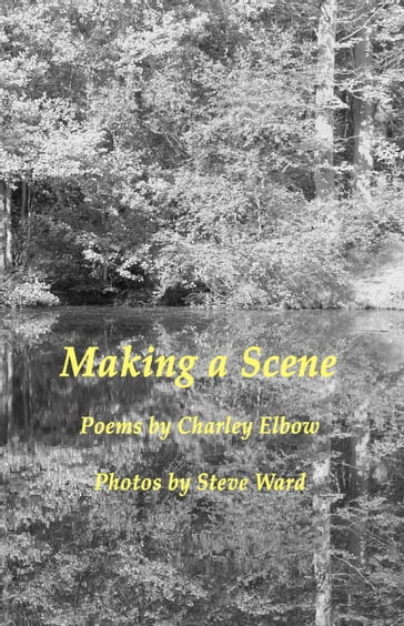 Making a Scene - Charley Elbow - Stephen Ward