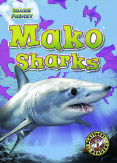 Mako Sharks