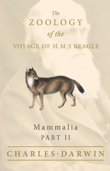Mammalia - Part II - The Zoology of the Voyage of H.M.S Beagle - Charles Darwin - George R. Waterhouse