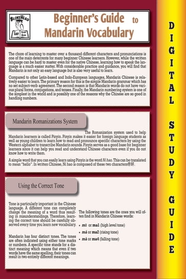 Mandarin Vocabulary ( Blokehead Easy Study Guide) - The Blokehead