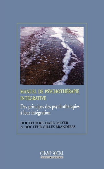 Manuel de psychothérapie intégrative - Brandibas Gilles - Richard Meyer