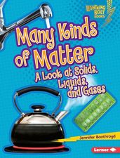 Many Kinds of Matter