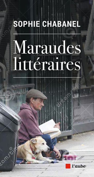 Maraudes littéraires - Sophie Chabanel