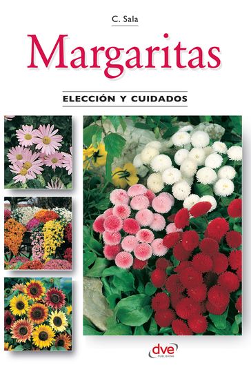 Margaritas - Elección y cuidados - Carmen Sala
