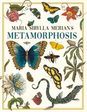Maria Sibylla Merian s Metamorphosis
