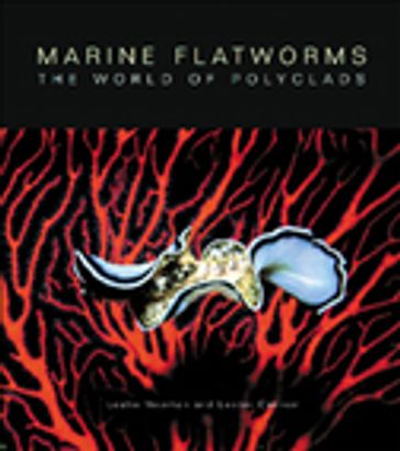 Marine Flatworms - Leslie Newman - Lester Cannon