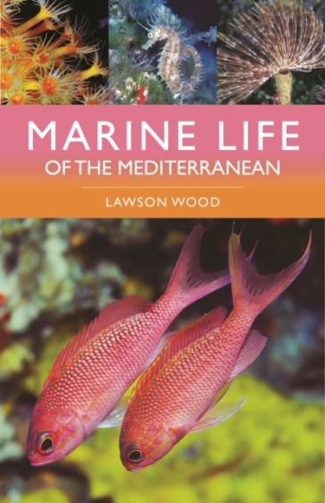 Marine Life of the Mediterranean - Lawson Wood