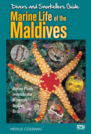 Marine Life of the Maldives - Timothy Godfrey