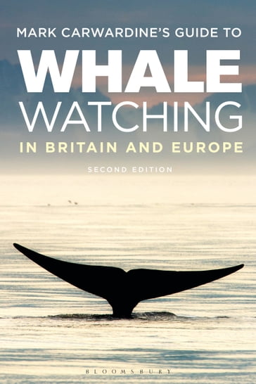 Mark Carwardine's Guide To Whale Watching In Britain And Europe - Mark Carwardine