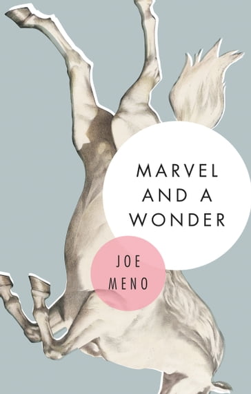 Marvel and a Wonder - Joe Meno